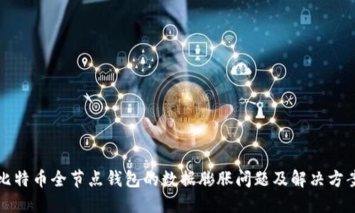 比特币全节点钱包的数据膨胀问题及解决方案