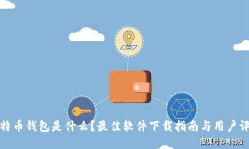 比特币钱包是什么？最佳软件下载指南与用户评测