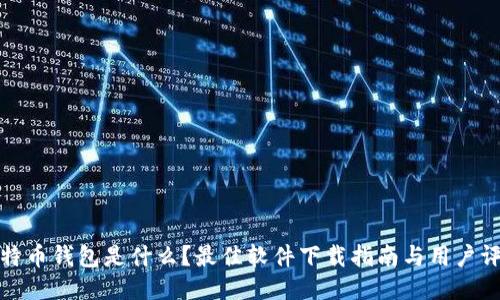 比特币钱包是什么？最佳软件下载指南与用户评测