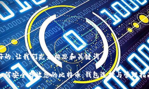 好的，让我们先来构思和关键词。

如何安全存放您的比特币：钱包选择与管理指南