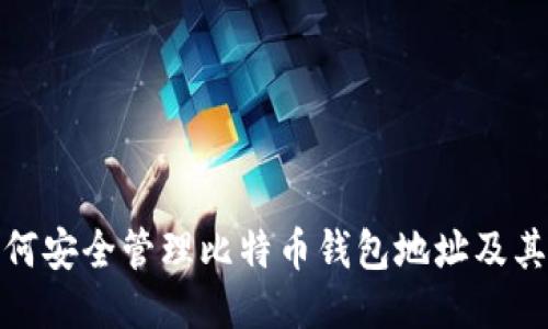 : 如何安全管理比特币钱包地址及其余额