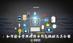 : 如何安全管理比特币钱包地址及其余额