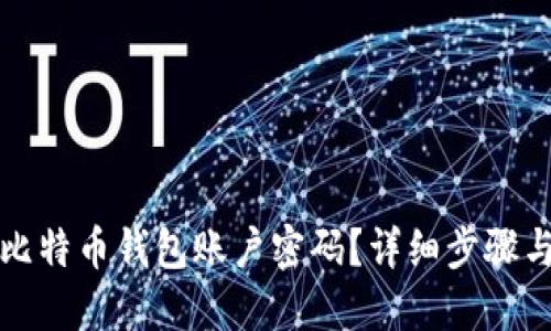 如何找回比特币钱包账户密码？详细步骤与解决方案