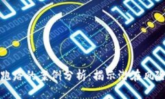 比特币钱包跑路的案例分析：揭示潜在风险与安