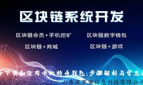 如何安全下载和使用卡比特币钱包：步骤解析与常见问题解答
