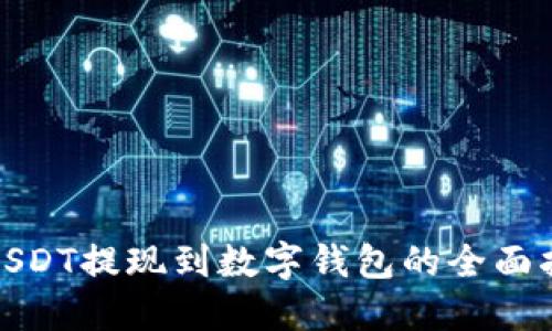 : USDT提现到数字钱包的全面指南
