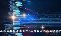 比特派钱包币不见了？如何找回你的加密资产