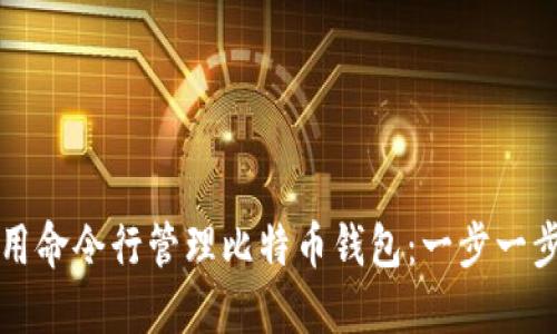 如何使用命令行管理比特币钱包：一步一步的指南