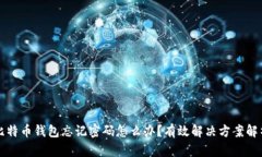 比特币钱包忘记密码怎么办？有效解决方案解析