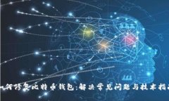 如何修复比特币钱包：解决常见问题与技术指南