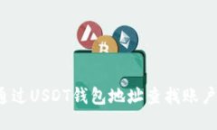如何通过USDT钱包地址查找账户余额？