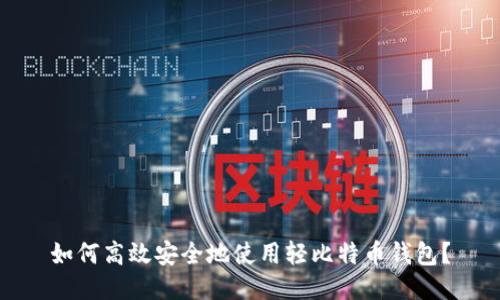 如何高效安全地使用轻比特币钱包？
