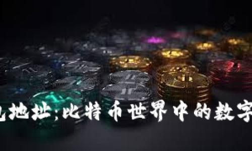  钱包地址：比特币世界中的数字身份