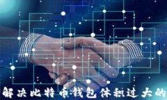 如何解决比特币钱包体积过大的问题