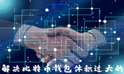 
如何解决比特币钱包体积过大的问题