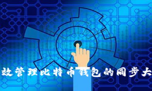 如何高效管理比特币钱包的同步大小问题