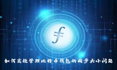 如何高效管理比特币钱包的同步大小问题