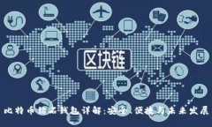 比特币钻石钱包详解：安全、便捷与未来发展
