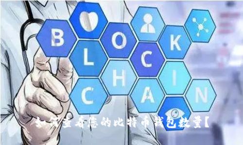 如何查看您的比特币钱包数量？