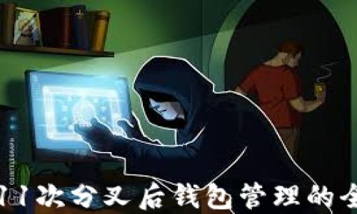 
比特币11次分叉后钱包管理的全面指南