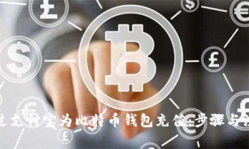 如何通过支付宝为比特币钱包充值：步骤与注意事项