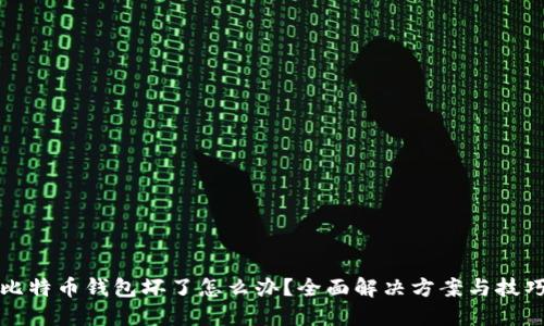 比特币钱包坏了怎么办？全面解决方案与技巧