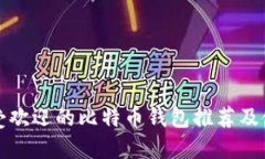 全球最受欢迎的比特币钱包推荐及使用指南