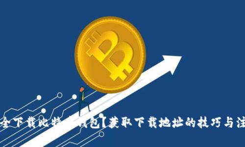 如何安全下载比特币钱包？获取下载地址的技巧与注意事项