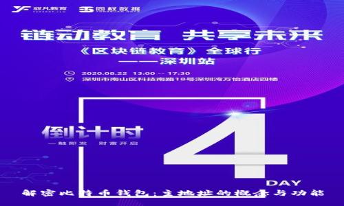 解密比特币钱包：主地址的概念与功能
