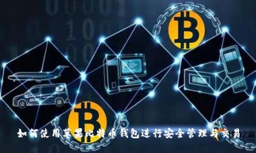 如何使用苹果比特币钱包进行安全管理与交易
