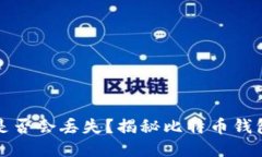 比特币钱包地址是否会丢失？揭秘比特币钱包安