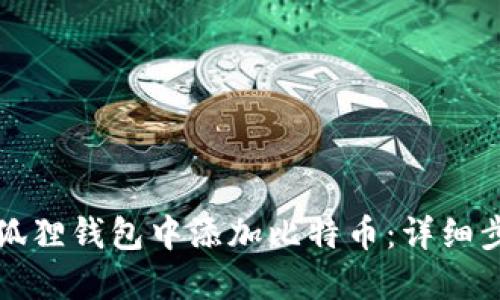 如何在小狐狸钱包中添加比特币：详细步骤与指南