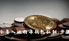 如何通过命令导入比特币钱包私钥：步骤与注意