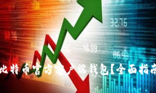 如何选择和使用比特币官方客户端钱包？全面指南与常见问题解析