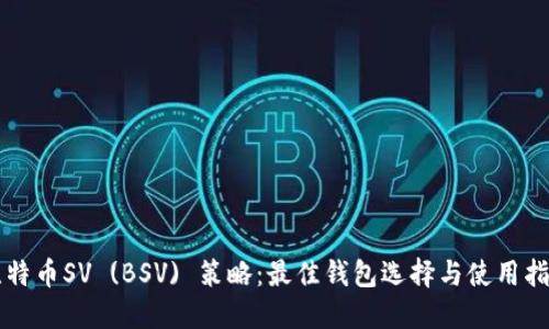 比特币SV (BSV) 策略：最佳钱包选择与使用指南