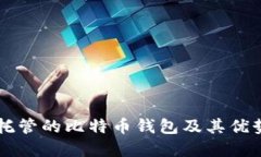 了解非托管的比特币钱包及其优势与劣势