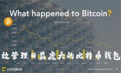如何有效管理日益庞大的比特币钱包数据包