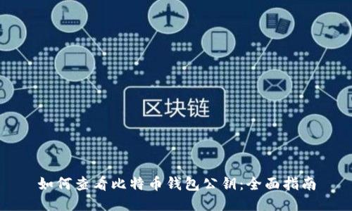 如何查看比特币钱包公钥：全面指南