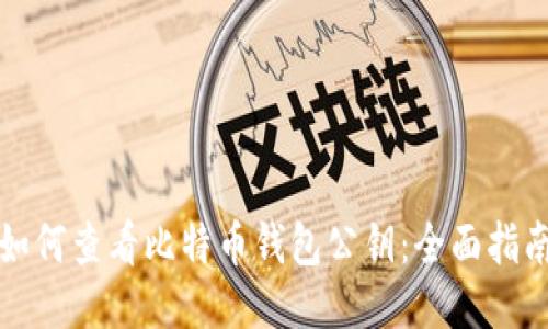 如何查看比特币钱包公钥：全面指南