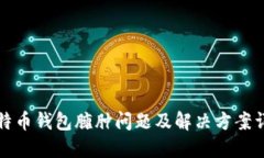 比特币钱包臃肿问题及解决方案详解