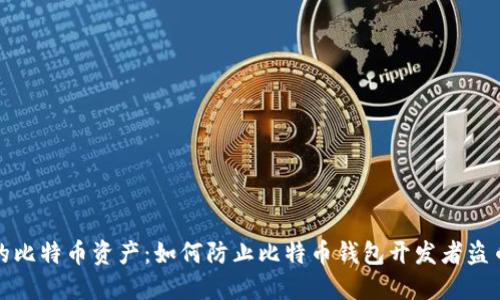 保护你的比特币资产：如何防止比特币钱包开发者盗币的问题