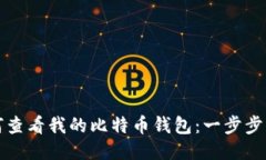 如何查看我的比特币钱包：一步步指南