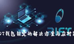 USDT钱包锁定的解决方案与应对策略