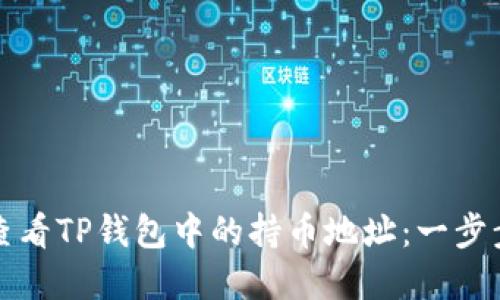 如何查看TP钱包中的持币地址：一步步详解