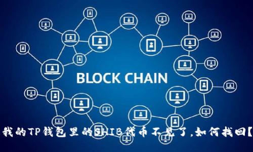 我的TP钱包里的SHIB代币不见了，如何找回？