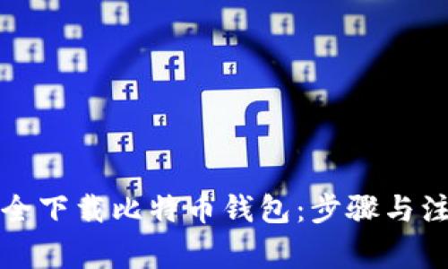 如何安全下载比特币钱包：步骤与注意事项