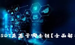 TP钱包中的USDT是基于哪条链？全面解析与应用指